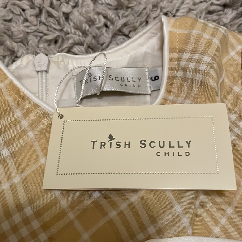 Nwt Trish Scully Ilsa Dress, Size 6 — image 6 of 6